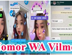 Nomor Wa Vilmei Tiktok yang Asli dan Aktif (Real) 2024