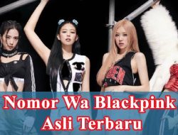 Nomor Wa Blackpink Asli Update Terbaru 2024