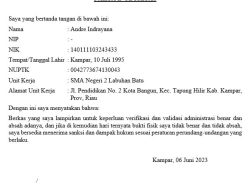 Contoh dan Cara Mengisi Pakta Integritas PPG Daljab 2023