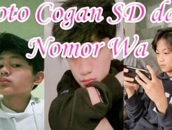Foto Cogan SD Kelas 3, 4, 5, 6 Jomblo dan Nomor Wa