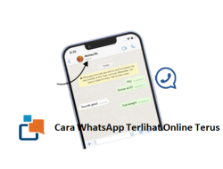 Cara Membuat WhatsApp Terlihat Online Terus, Tips dan Trik Terbaru