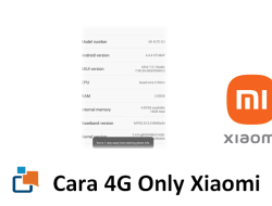 Cara 4G Only Xiaomi, Mengunci Jaringan 4G di HP Xiaomi Kesayanganmu