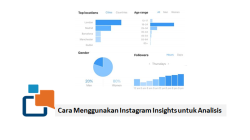 Cara Menggunakan Instagram Insights untuk Analisis