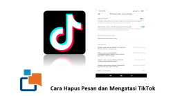 Cara Hapus Pesan dan Mengatasi TikTok