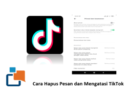 Cara Hapus Pesan dan Mengatasi TikTok yang Tidak Bisa Menghapus Pesan