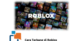 Cara Terbang di Roblox