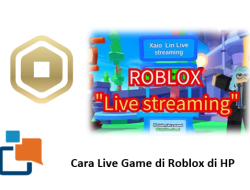 Cara Live Game di Roblox di HP,Lengkap untuk Streamer Pemula