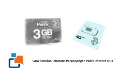 Cara Batalkan Otomatis Perpanjangan Paket Internet Tri 3