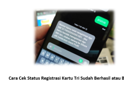 Anti Ribet! Cara Cek Status Registrasi Kartu Tri Sudah Berhasil atau Belum